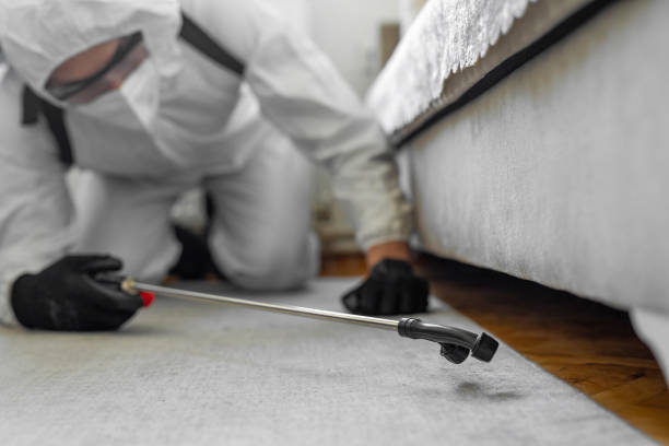 Professional Termite Control technician working in Tobaccoville, NC