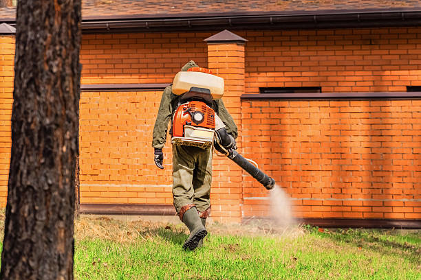 Trusted Mosquito Control service in Tobaccoville, NC - Nex Pest Control